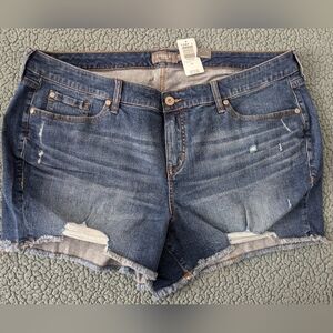 Torrid Jean Shorts